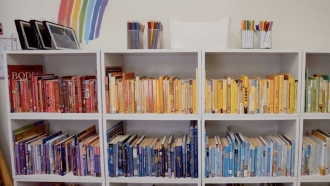 a bookshelf organized by color