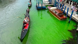 A bright patch of green is seen in the Grand Canal.