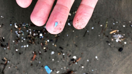 Microplastic debris in Oregon