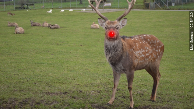 Rudolph is mad