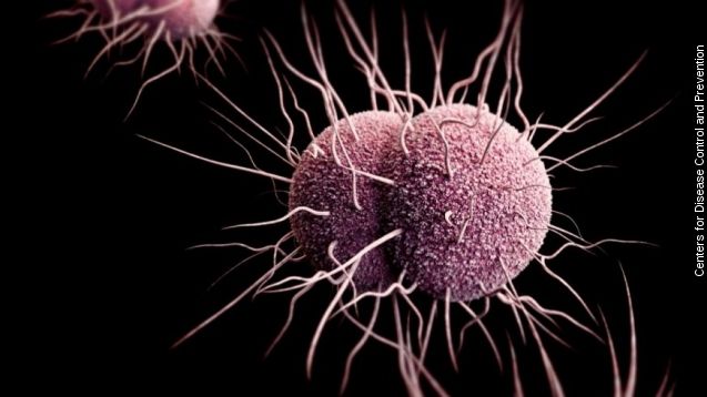Illustration of drug-resistant gonorrhoeae bacteria