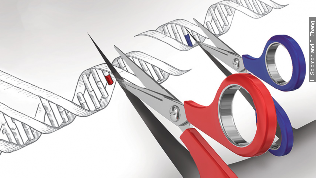 Two scissors cutting strands of DNA