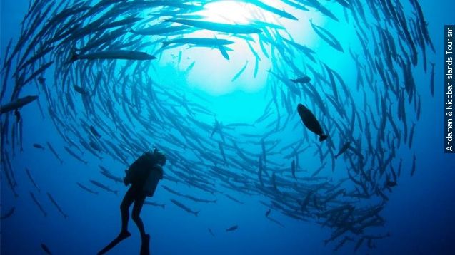 Scuba diving in India's Andaman islands.