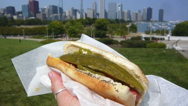 Person holding a Chicago style hotdog.