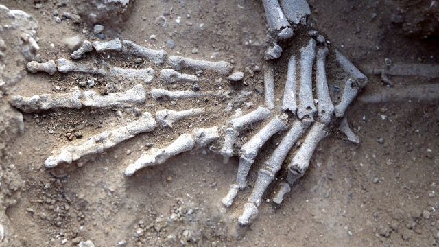 A human skeleton hand found at the site of a prehistoric massacre.