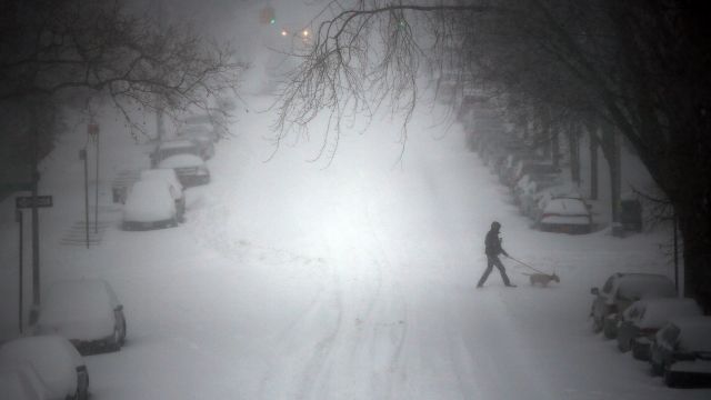 A person walks a dog through blizzard conditions in the Brooklyn borough of New York City.