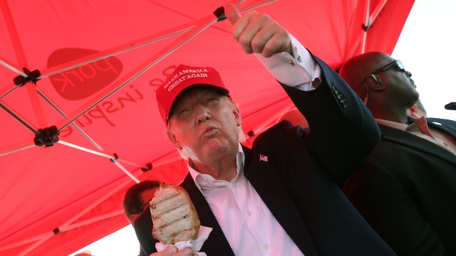 Republican presidential candidate Donald Trump eats a pork chop on a stick and gives a thumbs up sign to fairgoers while campaigning at the Iowa State Fair on August 15, 2015 in Des Moines, Iowa.