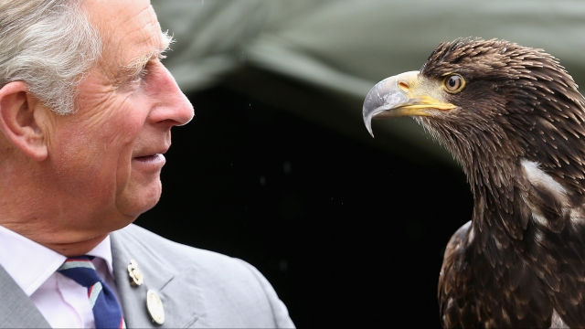Prince Charles holds a bald eagle.