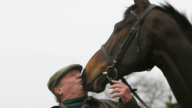 A man kisses his horse.