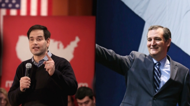 Pictures of Republican presidential candidates Marco Rubio and Ted Cruz.