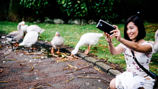 Woman taking a selfie near some birds.