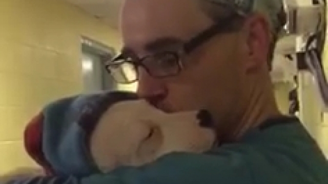 Photo of vet comforting scared puppy.