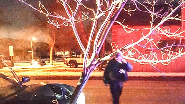 A picture of the car with a tree stuck in the grille, via the Roselle Police Department.