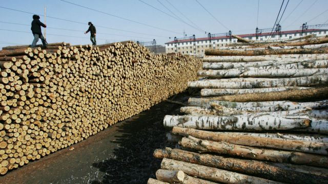 Two workers stand on logs at a lumber yard in the Jilin Province of China.