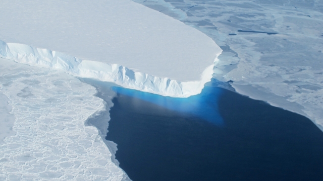 Melting ice from Antarctica contributes to sea level rise