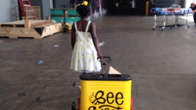 CEO of BeeSweet Lemonade