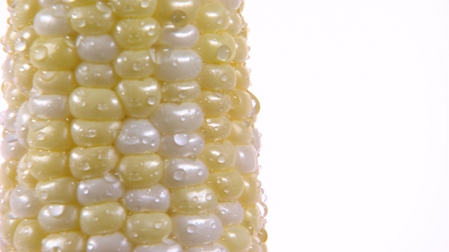 Corn with water droplets on it.