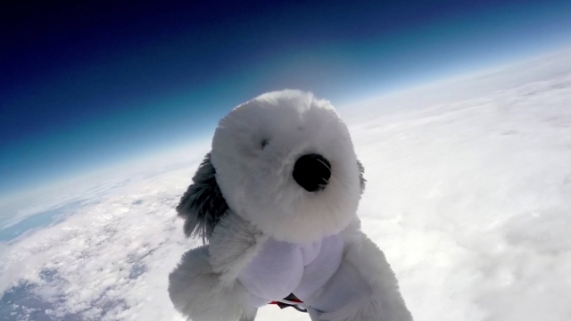 Sam the stuffed dog soars above the clouds attached to a helium balloon.