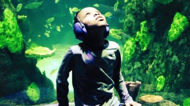 A boy admires an aquarium.