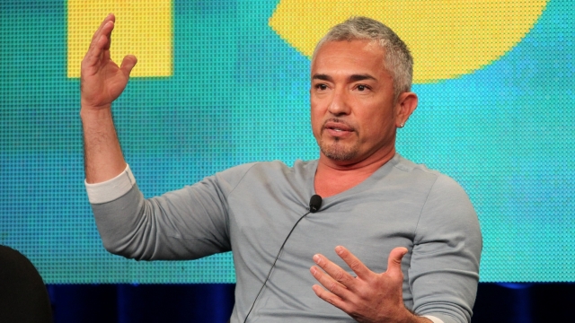 Cesar Millan is cleared of any wrong-doing after dog bites pig's ear.