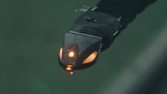 The Eelume robotic snake is being developed to protect and maintain underwater equipment.