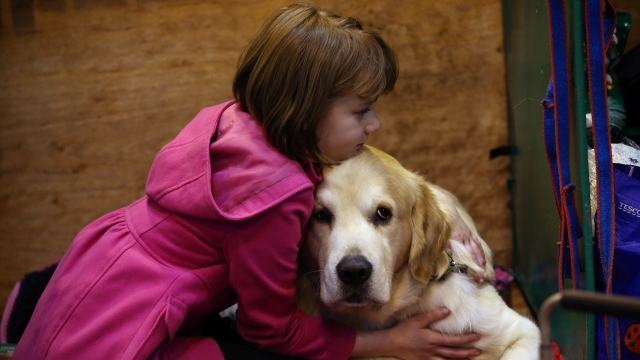 A girl hugs her dog on the first day of a dog show at the National Exhibition Centre.