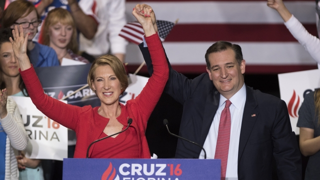 Ted Cruz and Carly Fiorina at a campaign rally.