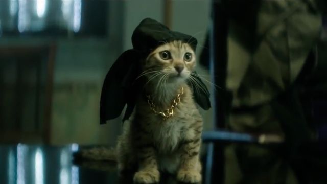 In the market for a gangsta pet? Jordan Peele and Keegan-Michael Key are back with "Keanu," their first feature film.