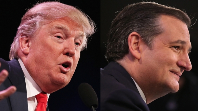 Side by side photo of Donald Trump and Ted Cruz.