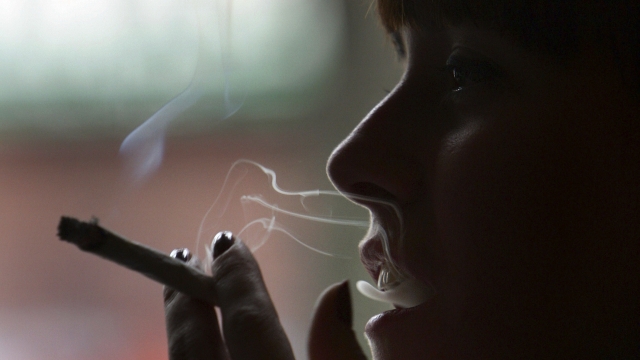 A woman smokes a marijuana cigarette in an Amsterdam cafe.