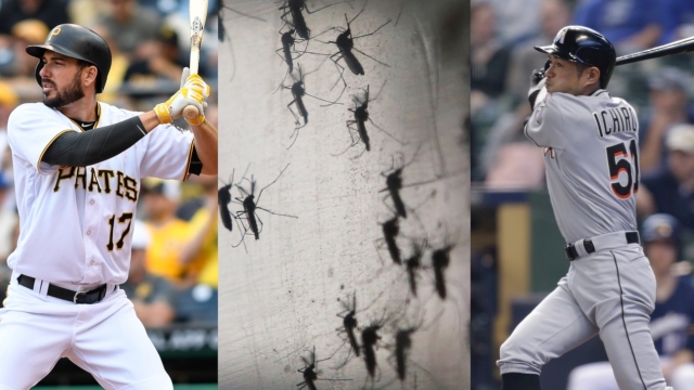 Players spoke with the MLB after learning more about Zika.
