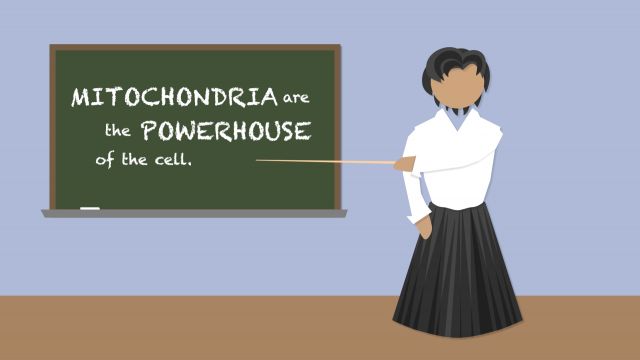Everything you know about mitochondria is wrong.