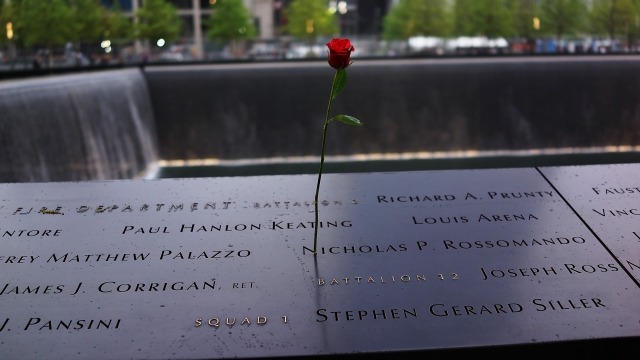 A rose at Ground Zero.