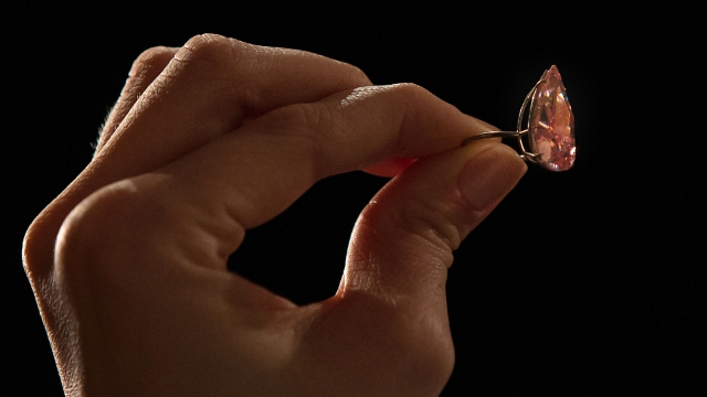 A hand displays "The Unique Pink," the largest fancy vivid pink pear-shaped diamond ever offered at auction.