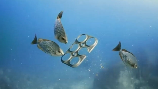 These six-pack rings are completely biodegradable and edible.