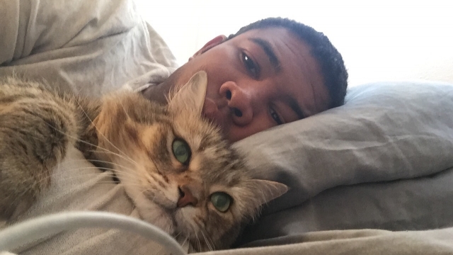 A man takes a selfie with his cat