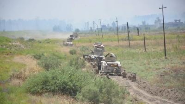Iraqi forces near Fallujah