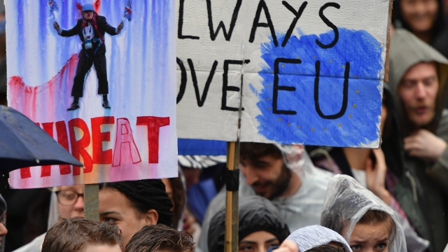 Young protesters stand in a crowd, one holding a sign that says, "And I will always love EU."