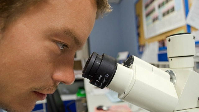 A scientist uses a microscope.