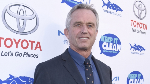 Bobby Kennedy Jr. attends the Keep It Clean Comedy Benefit For Waterkeeper Alliance