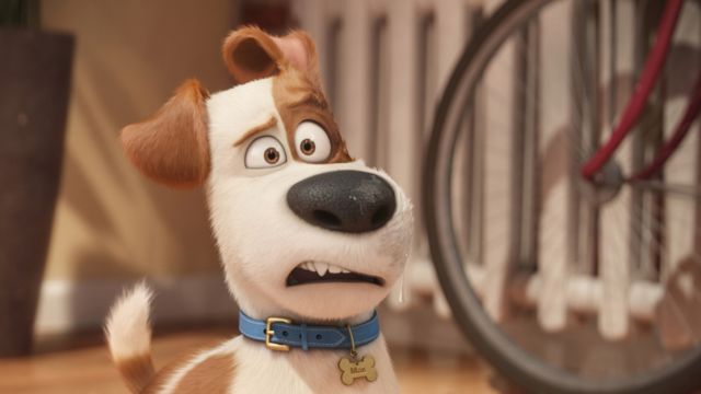 Max, voiced by Louis C.K. makes a perplexed look in "The Secret Life of Pets," which was No. 1 at the box office this weekend