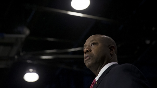 Sen. Tim Scott looks on as Republican presidential candidate Marco Rubio speaks at a rally February 19, 2016.