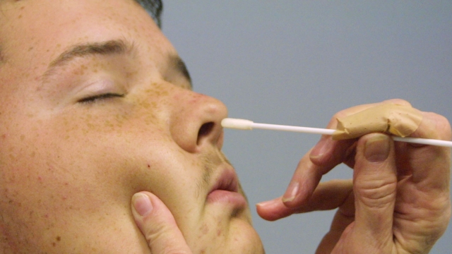 A patient gets a nasal swab from a doctor.