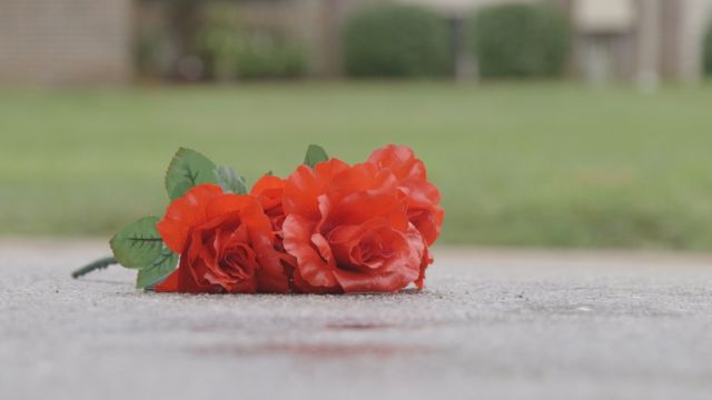 Rose where Michael Brown was shot and killed in Ferguson, Missouri