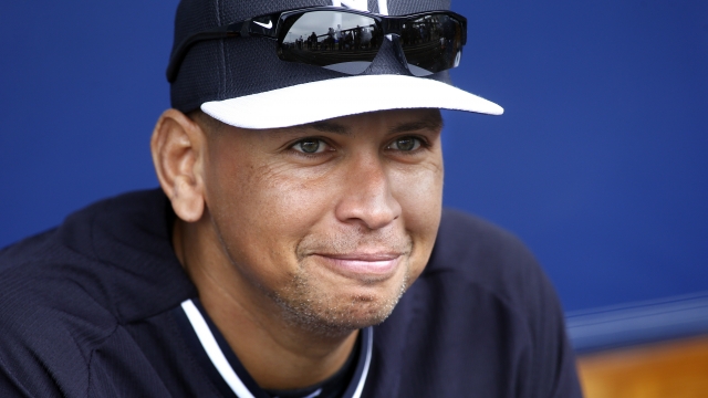 Alex Rodriguez of the New York Yankees looks on from a bench in the dugout as he participates in a spring training workout.