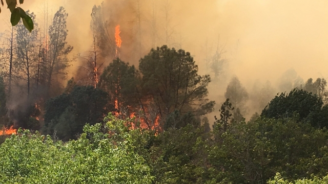 Wildfires burn across Northern California