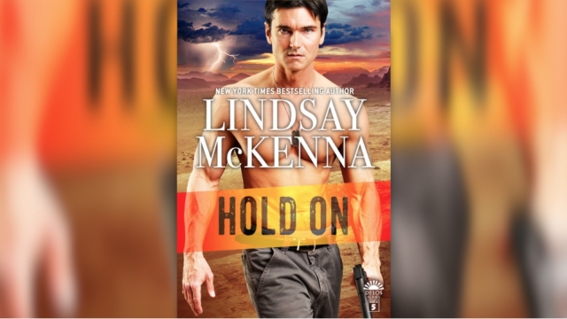cover of "Hold On" by Lindsay McKenna