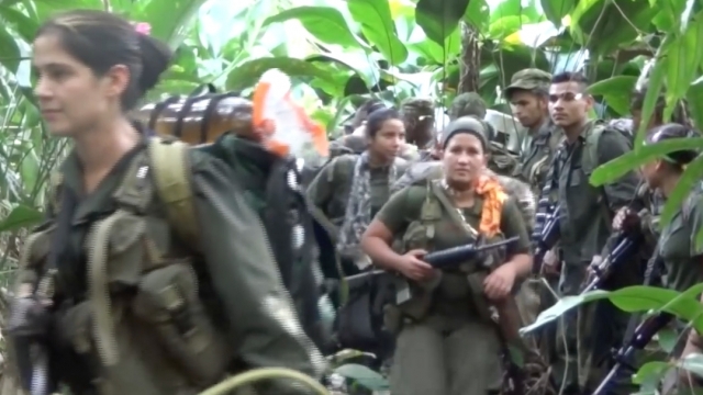 Members of FARC.