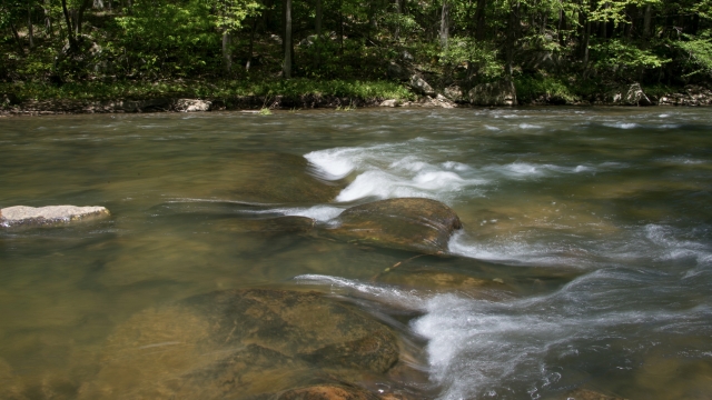 A stream flows in Maryland
