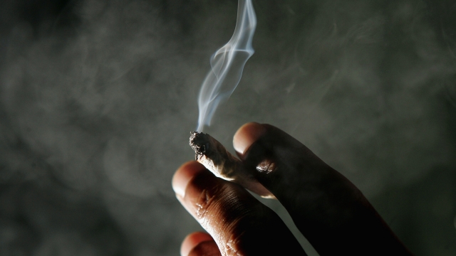 Fingers hold a lit marijuana cigarette that has smoke rising from it.